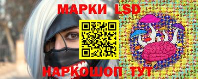 дмт Славгород
