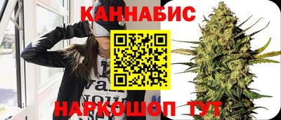 дмт Славгород