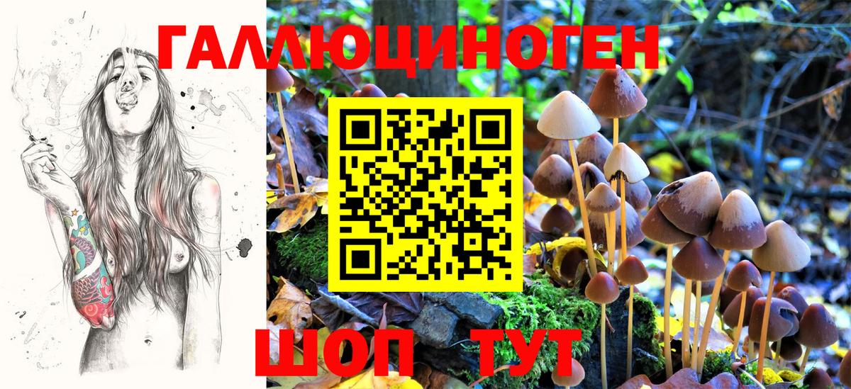 Псилоцибиновые грибы Magic Shrooms Якутск