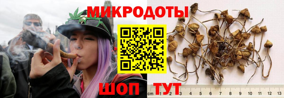 Якутск  Псилоцибиновые грибы MAGIC MUSHROOMS  Вход с VPN 